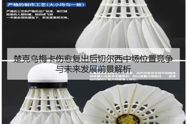 楚克乌梅卡伤愈复出后切尔西中场位置竞争与未来发展前景解析